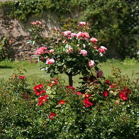 Chateau De La Bobiniere Отель типа 